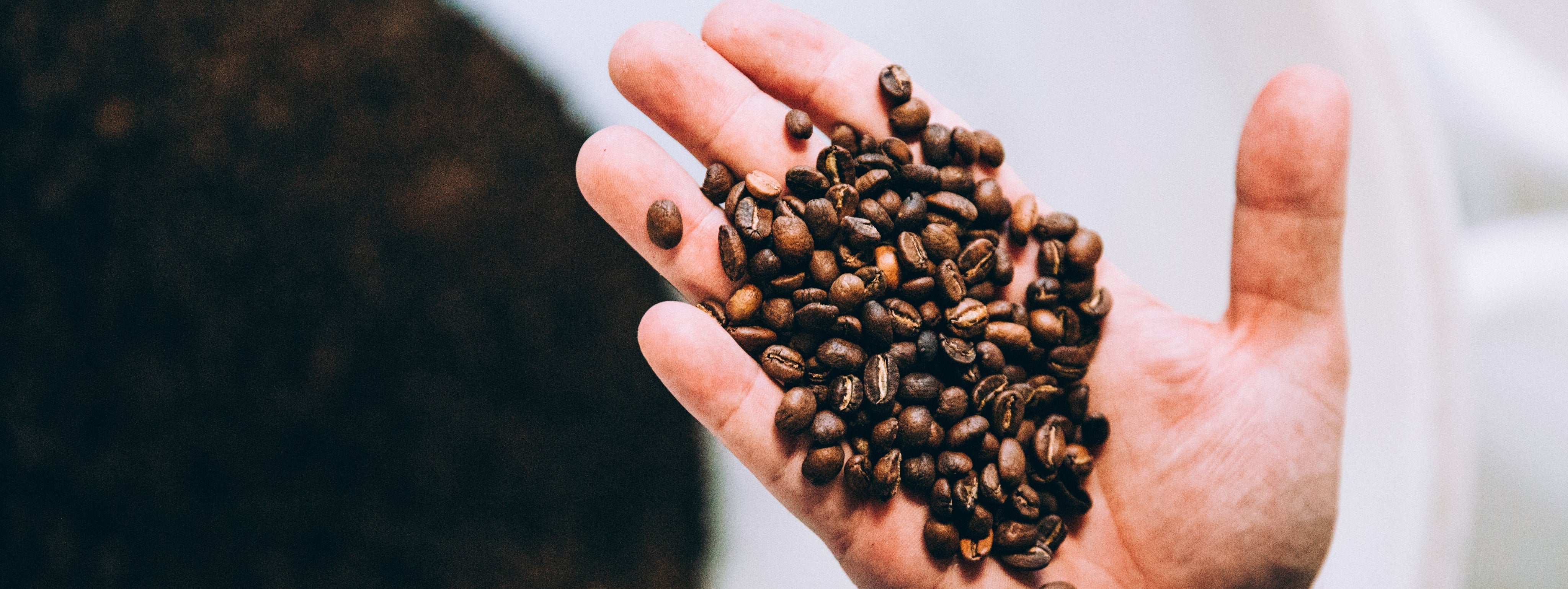 Por que comprar café inteiro?